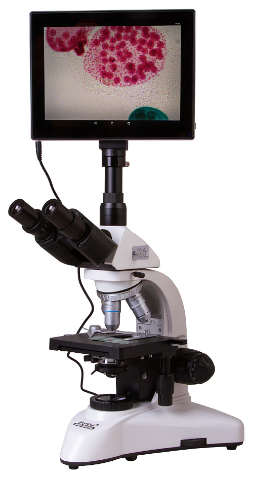 fotografie Digitální trinokulární mikroskop Levenhuk MED D25T LCD